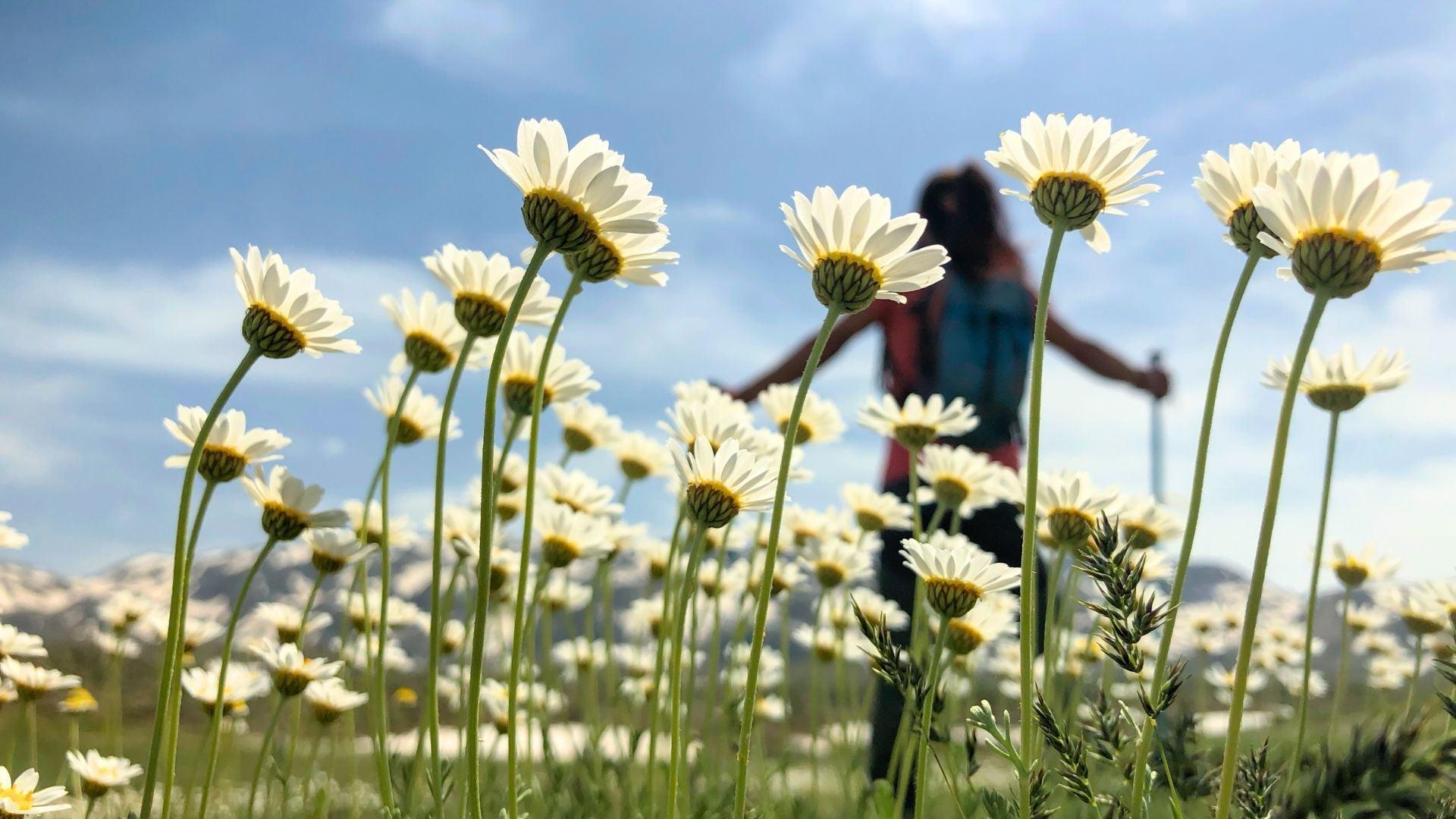 Spring Detox: How to Refresh Your Body and Skin for the New Season
