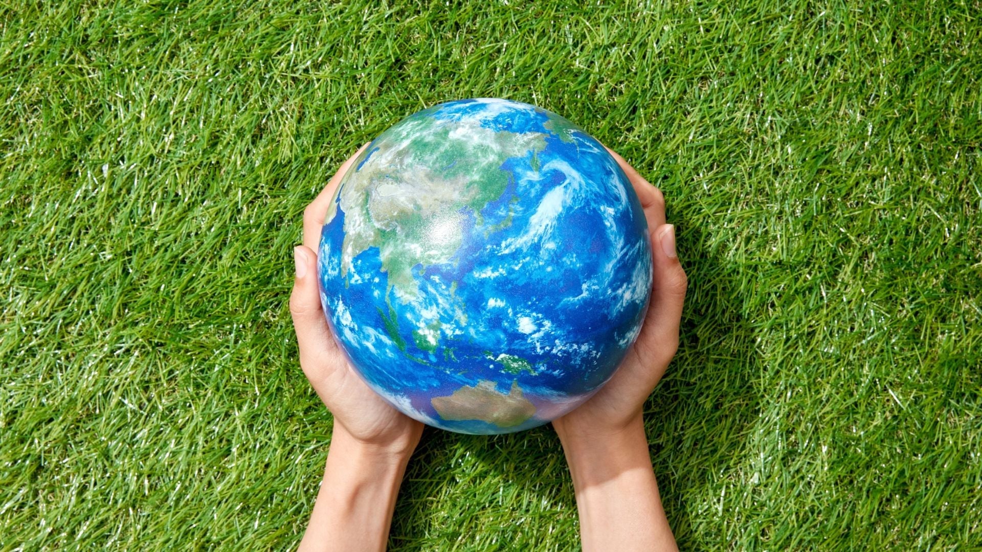 Celebrate Earth Day Everyday: 10 Simple Ways to Show Love for the Planet 💚