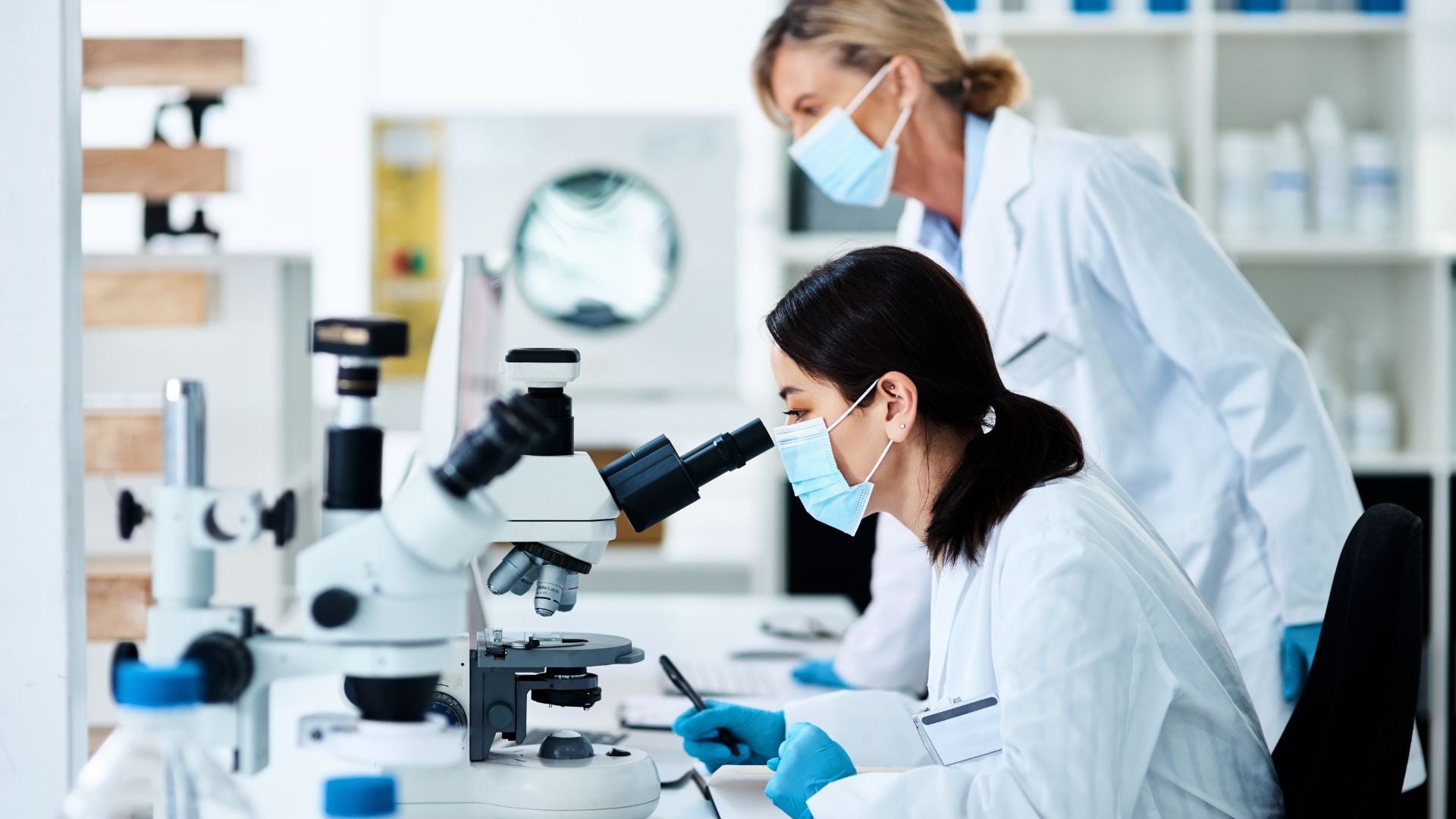 Nattokinase and Cardiovascular Wellness: What the Latest Research Reveals