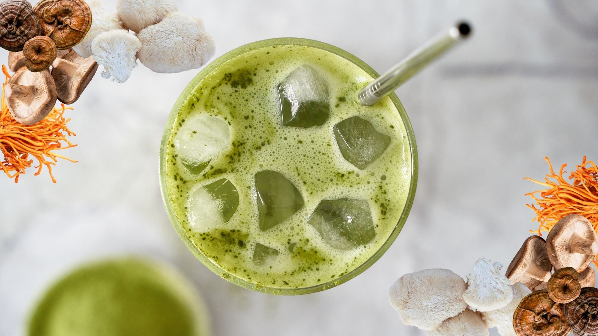 What Are Adaptogenic Mushrooms and Why Are They in Your Matcha? 🍄
