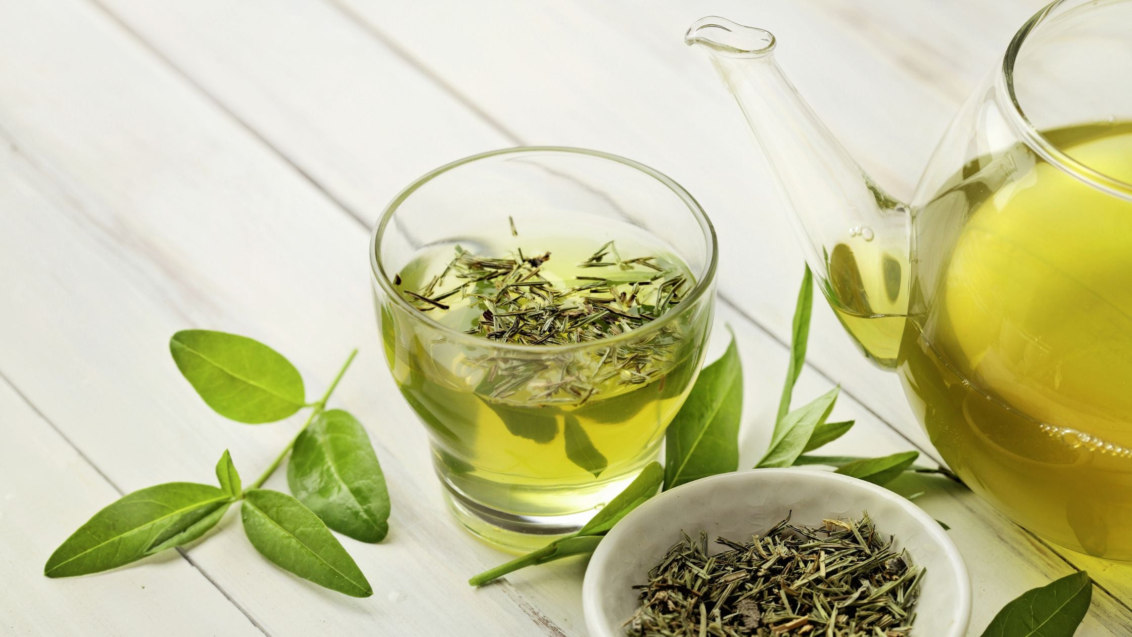 Japanese Green Tea: What You Need to Know