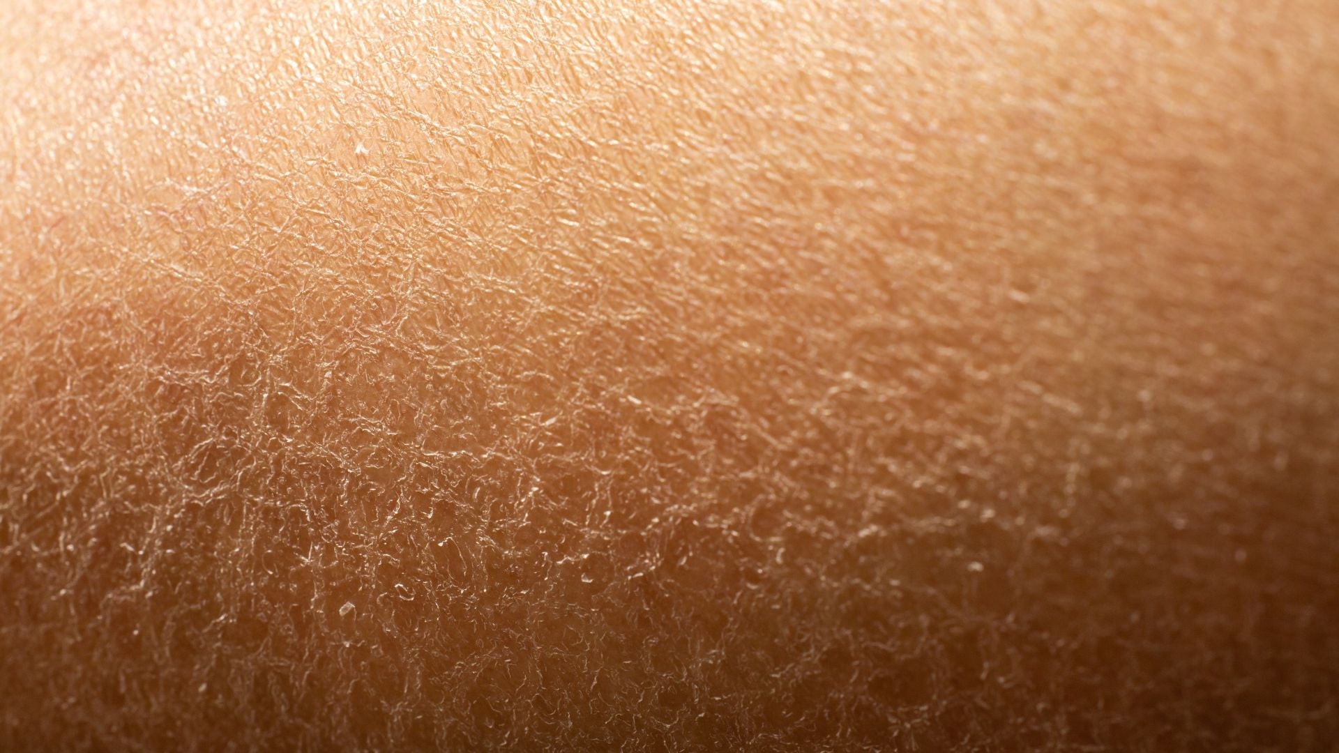 Why Your Fall Skincare Routine Needs a Hydration Boost from Within