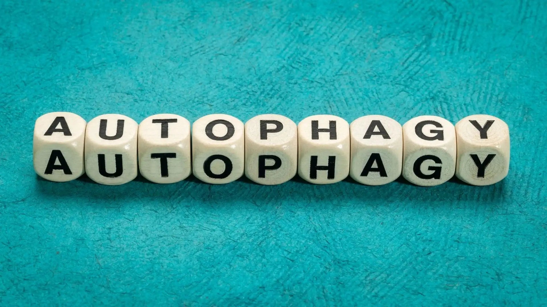 The Science of Autophagy and Longevity: How Nattokinase Supports Cellular Renewal - Crane Wellness