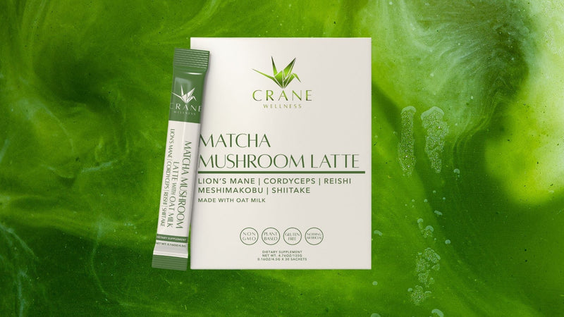 Matcha Mushroom Latte Guide: Lion’s Mane, Cordyceps, Reishi & Japanese Matcha Explained - Crane Wellness