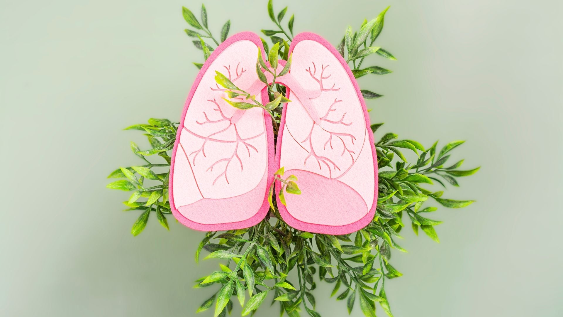 How Nattokinase Supports Lung Health and Circulation (Not Just Your Heart)