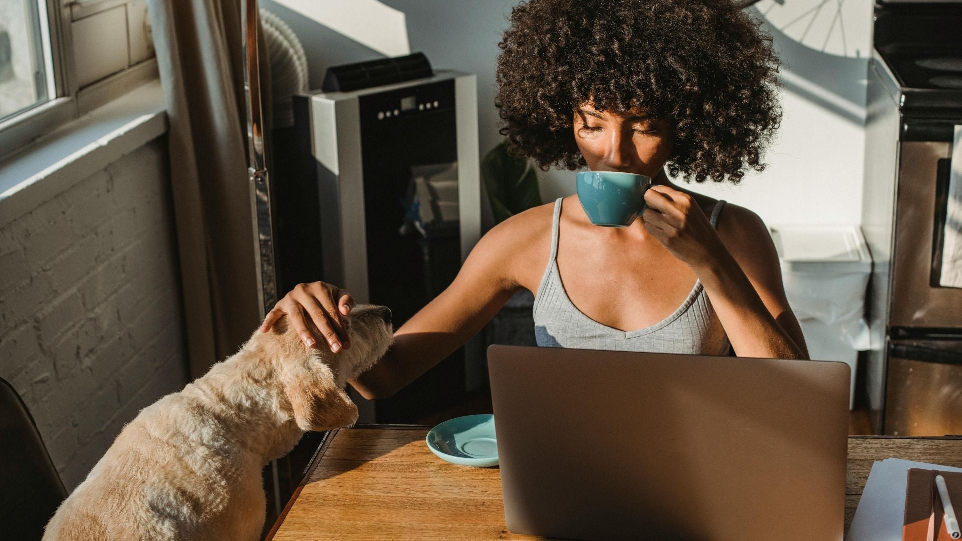 Top 10 Benefits of Zen Energy Green Tea and Coffee Blend: Balanced Energy and Wellness from Japan