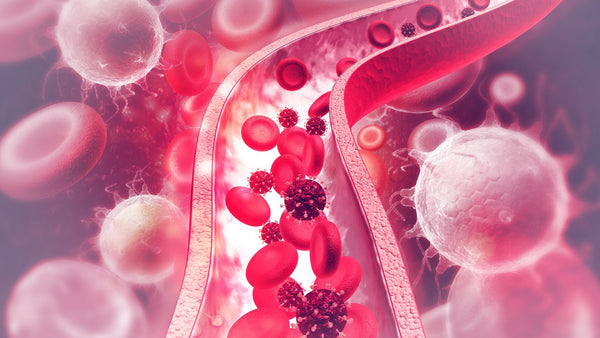 Cardiovascular Support
