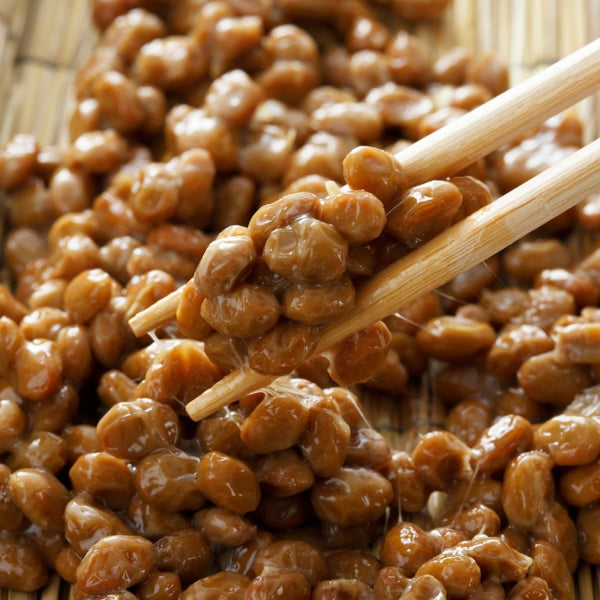 close up of traditional japanese natto dish